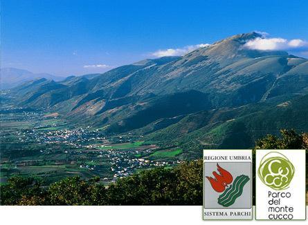 Appartamento Il Grillo Fossato di Vico Экстерьер фото